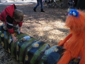 Ditto sitting on a log