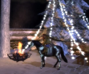 Ditto the Dwarf at the Winter Festival