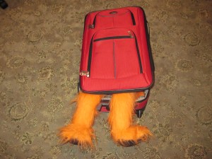 All packed for PAX East