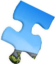 Ditto Puzzle Piece 1 