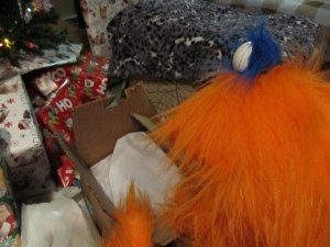 Ooh, a box full of tissue paper! 