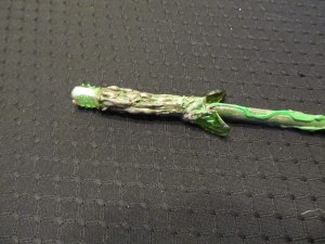 Life Wand Complete - handle detail